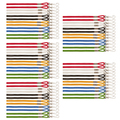 Champion Sports Lanyards, Assorted Colors, PK60 126ASST